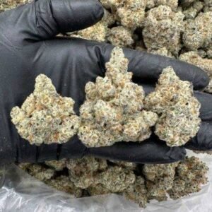 DANTE INFERNO – MC1120DI