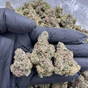 FROSTED FLUFF – MC101BA