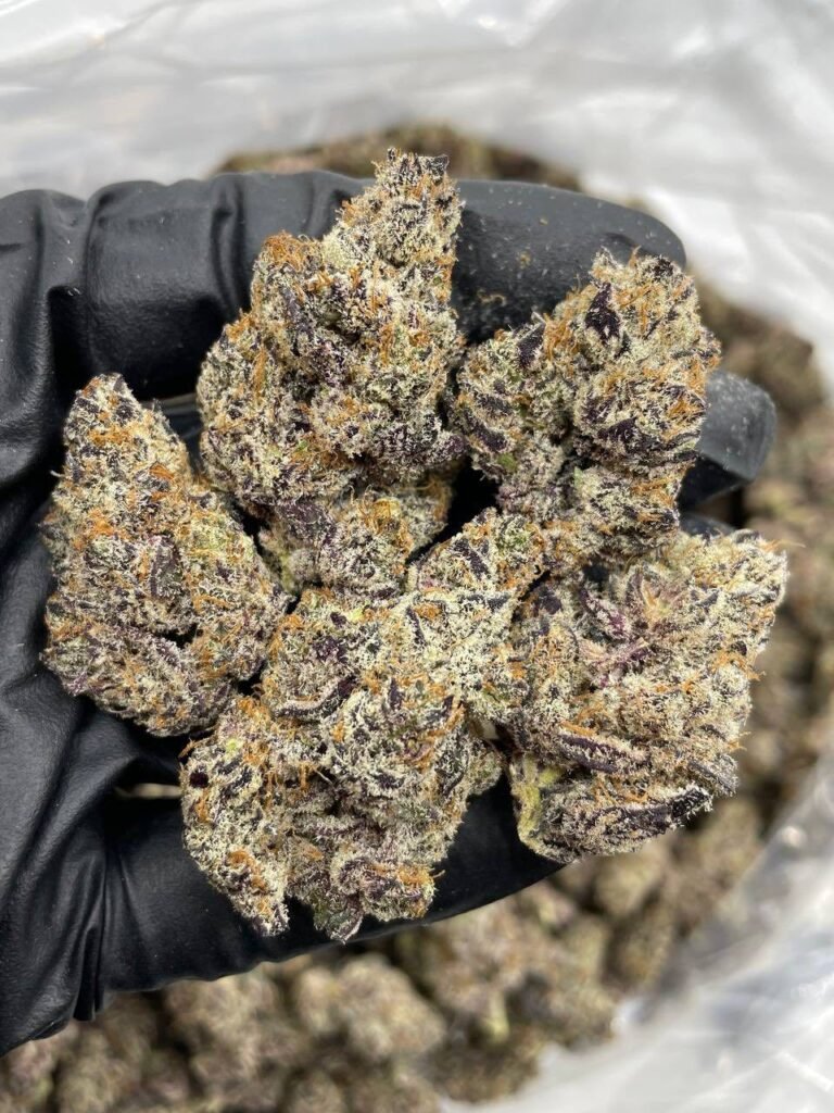 photo_2025-03-16_07-52-12-768x1024